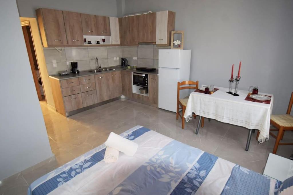 Moshovia Studio Κάρπαθος Στο Κέντρο Και Ήσυχα别墅 外观 照片